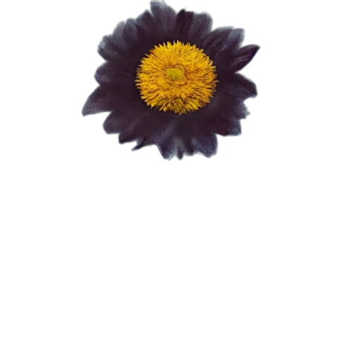 flower, crown, jewelry, staff transparent PNG cut-out