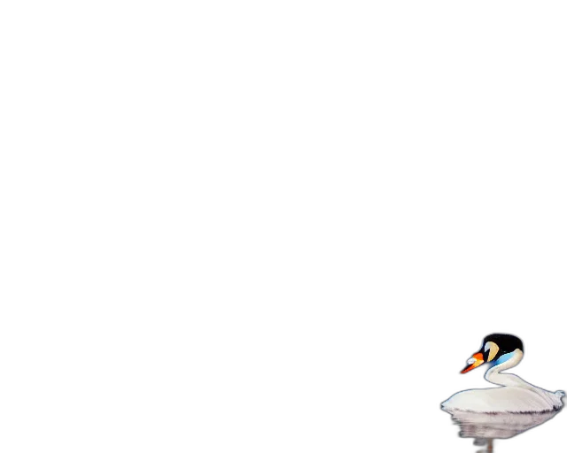 animal, staff, weapon, hat transparent PNG cut-out