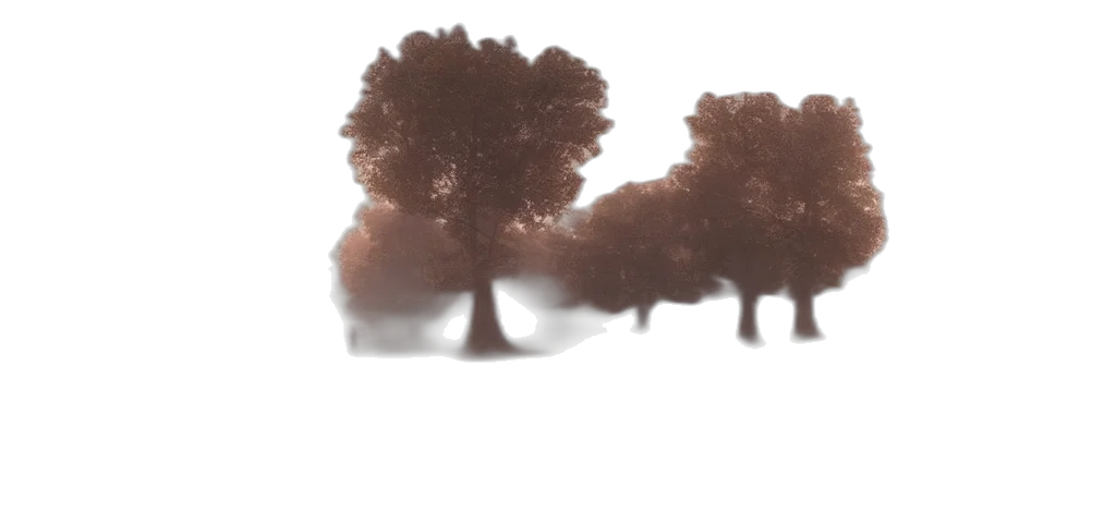 tree, crown, hair, car transparent PNG cut-out