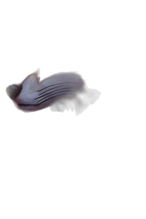 animal, creature, hair, dragon transparent PNG cut-out