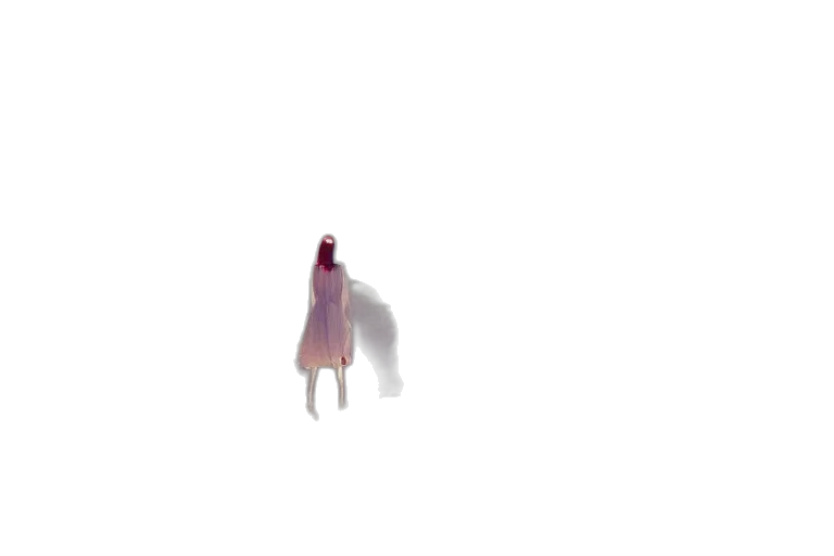dress, creature, hair, robot transparent PNG cut-out