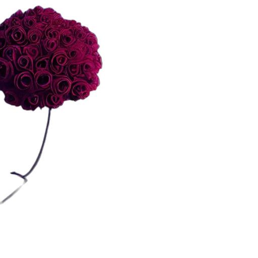 crown, flower, umbrella, jewelry transparent PNG cut-out