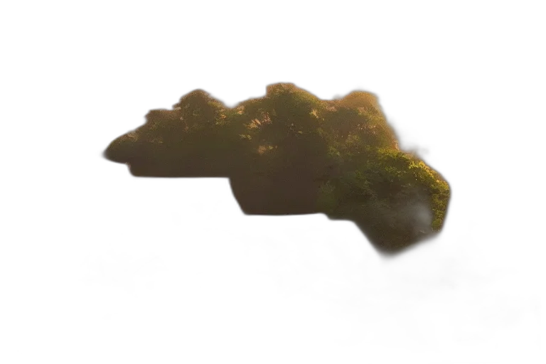 crown, tree, dragon, shoes transparent PNG cut-out