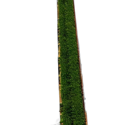staff, sword, tree, weapon transparent PNG cut-out
