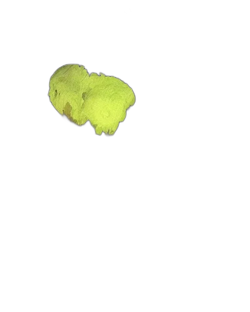 food, hair, tree, flower transparent PNG cut-out