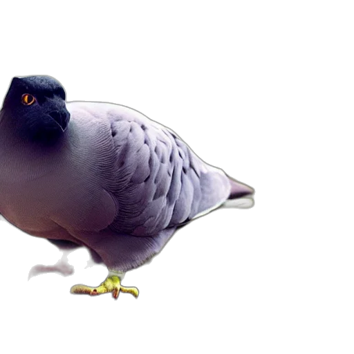 animal, creature, food, staff transparent PNG cut-out