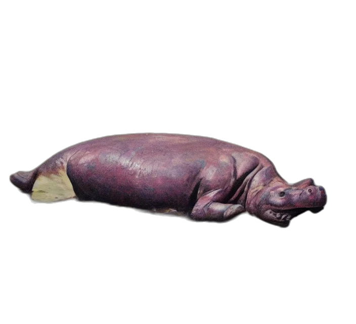 animal, food, bottle, creature transparent PNG cut-out