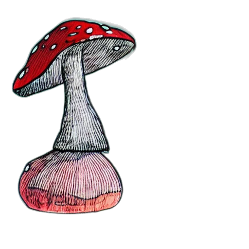 hat, umbrella, crown, flower transparent PNG cut-out