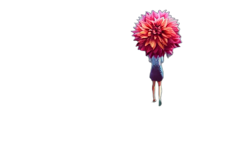flower, umbrella, hair, crown transparent PNG cut-out