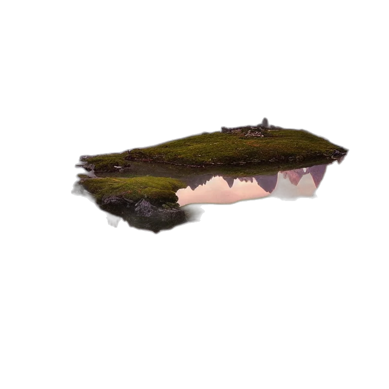 crown, hat, shoes, tree transparent PNG cut-out