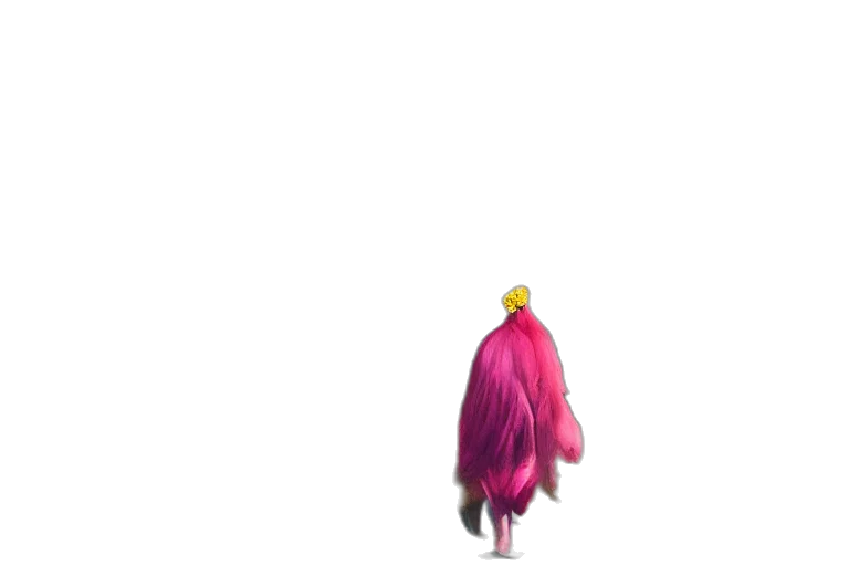 hair, creature, dress, animal transparent PNG cut-out