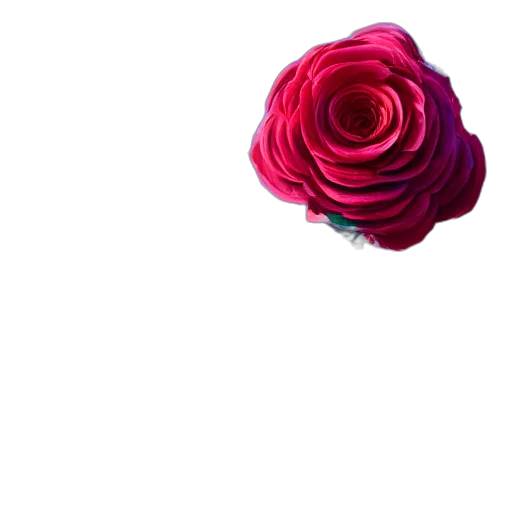 flower, crown, jewelry, dress transparent PNG cut-out