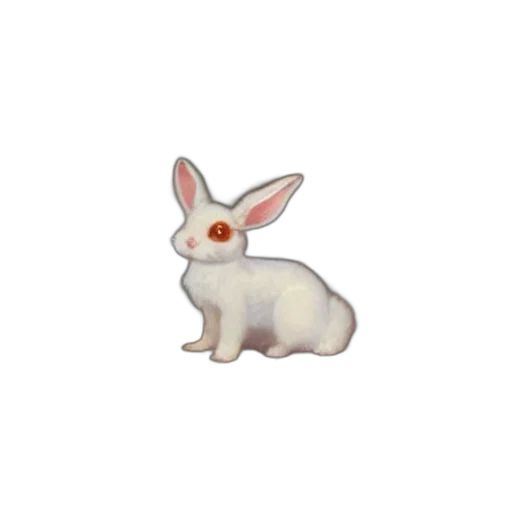 animal, creature, food, weapon transparent PNG cut-out