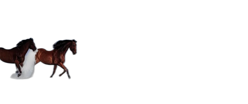 shoes, staff, weapon, furniture transparent PNG cut-out