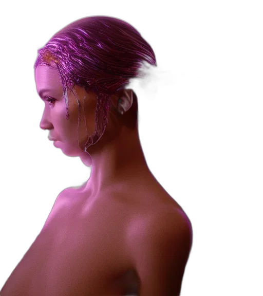 hair, crown, jewelry, dress transparent PNG cut-out