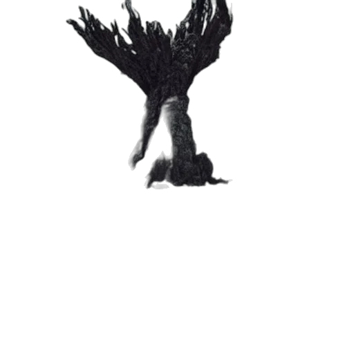 tree, creature, hair, crown transparent PNG cut-out
