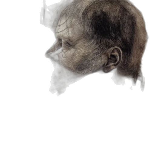 mask, face, hair, creature transparent PNG cut-out