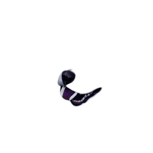 shoes, jewelry, hat, staff transparent PNG cut-out