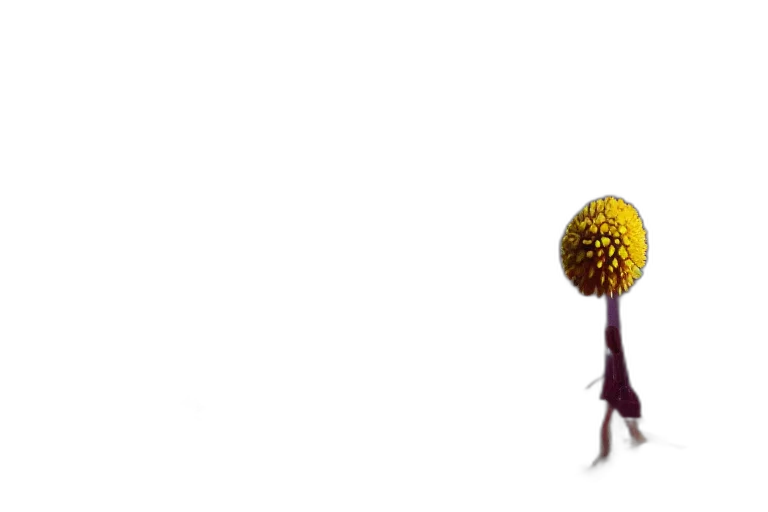 staff, creature, umbrella, flower transparent PNG cut-out