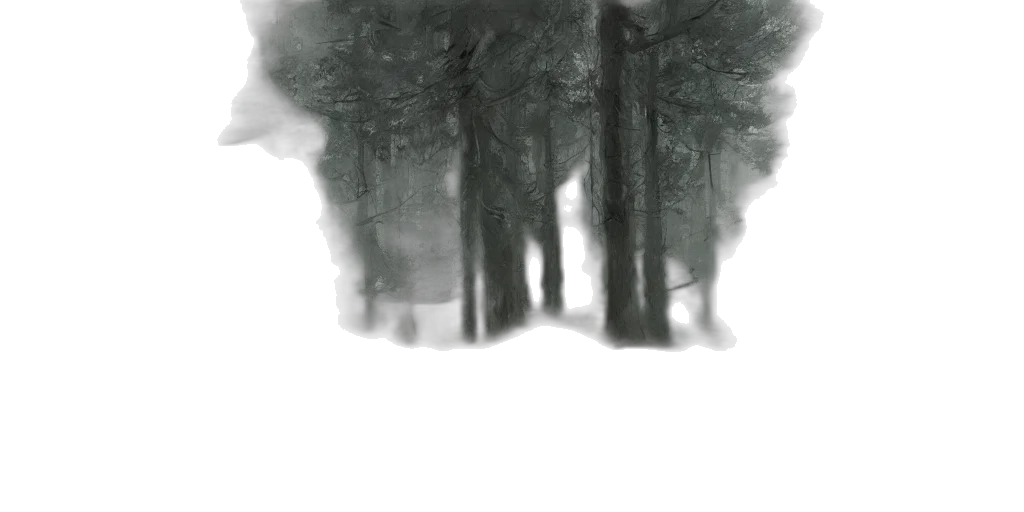 tree, face, crown, mask transparent PNG cut-out