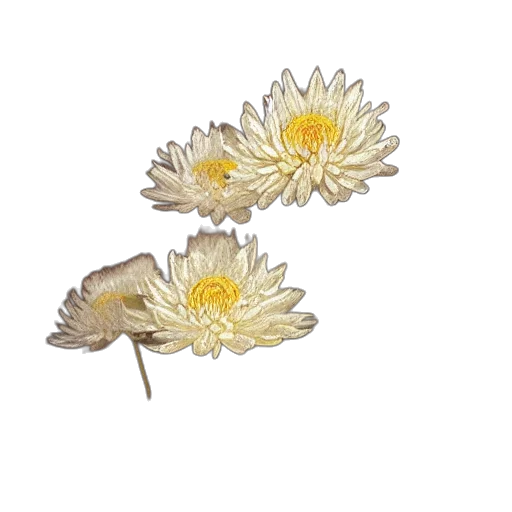 flower, jewelry, crown, staff transparent PNG cut-out