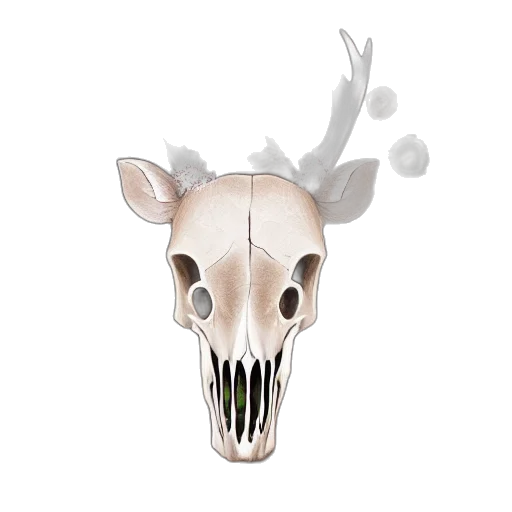 mask, creature, animal, face transparent PNG cut-out