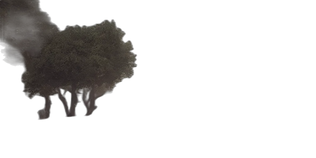 tree, hair, crown, hat transparent PNG cut-out