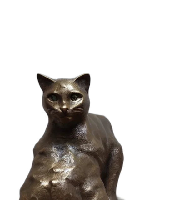 animal, jewelry, creature, mask transparent PNG cut-out