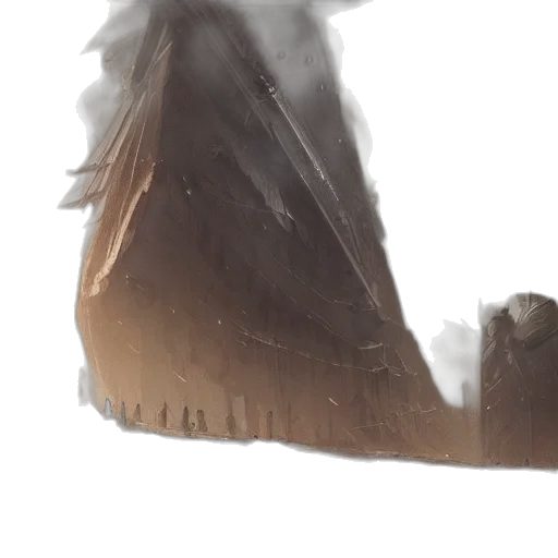 shoes, bottle, dragon, hat transparent PNG cut-out