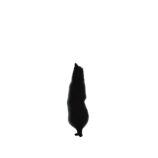 hair, animal, dress, staff transparent PNG cut-out