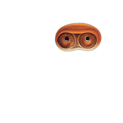 mask, face, animal, furniture transparent PNG cut-out