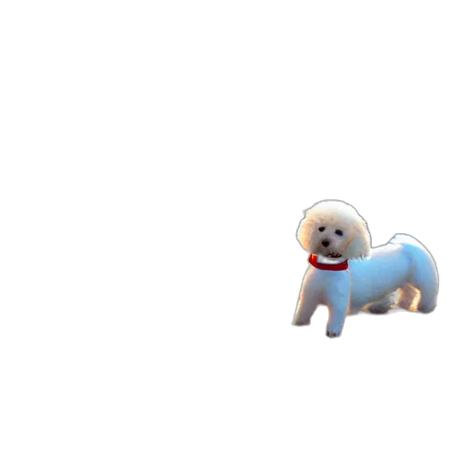 animal, creature, staff, robot transparent PNG cut-out