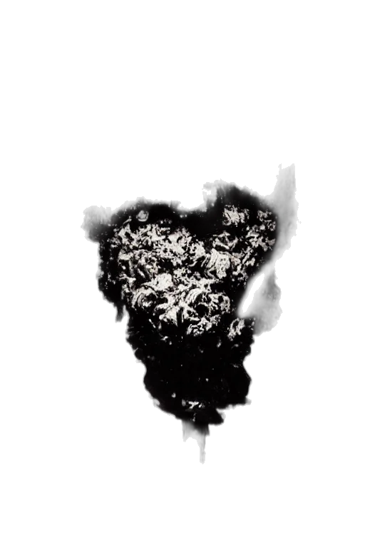 crown, mask, hair, tree transparent PNG cut-out