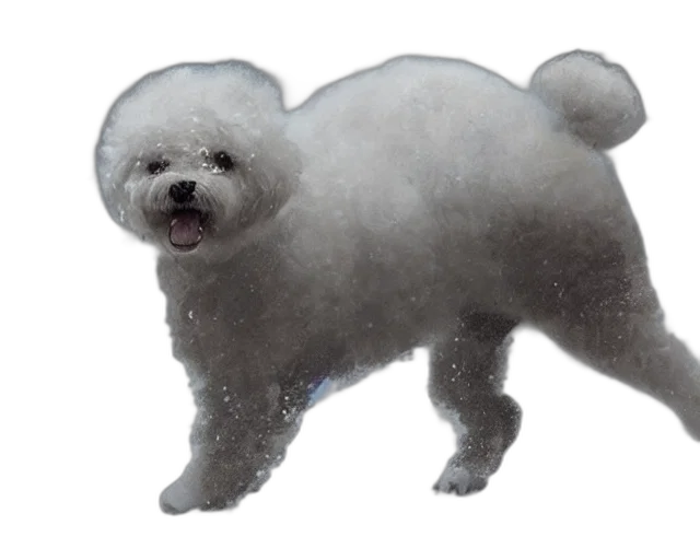 animal, creature, hair, face transparent PNG cut-out