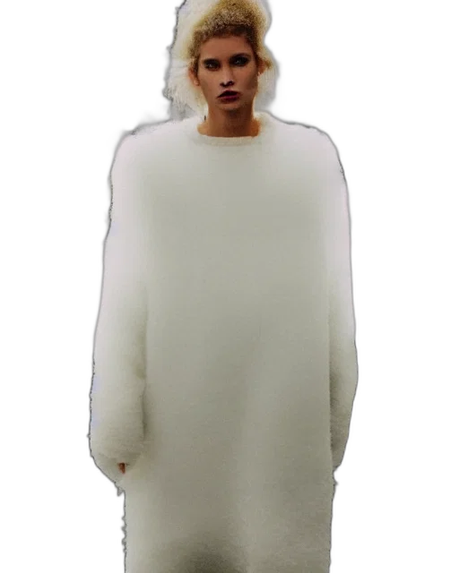 jacket, creature, dress, animal transparent PNG cut-out
