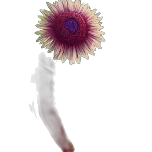 flower, crown, staff, hair transparent PNG cut-out