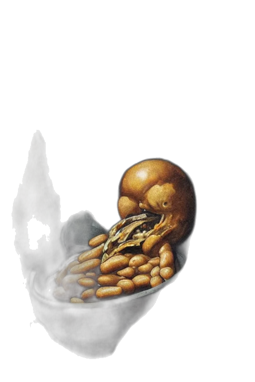 food, crown, creature, mask transparent PNG cut-out