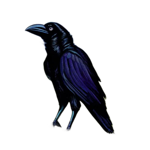 animal, staff, dress, creature transparent PNG cut-out