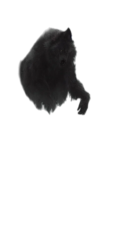 animal, creature, hair, dragon transparent PNG cut-out