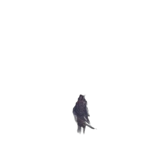 animal, creature, dragon, jacket transparent PNG cut-out