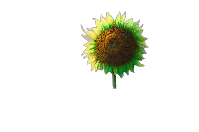 flower, staff, crown, umbrella transparent PNG cut-out