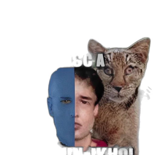 animal, mask, creature, face transparent PNG cut-out