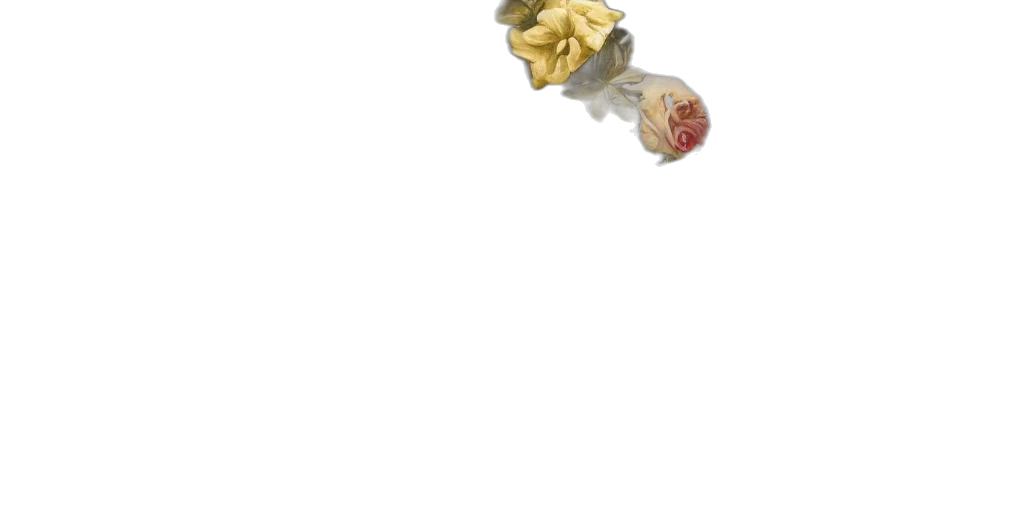flower, food, jewelry, crown transparent PNG cut-out