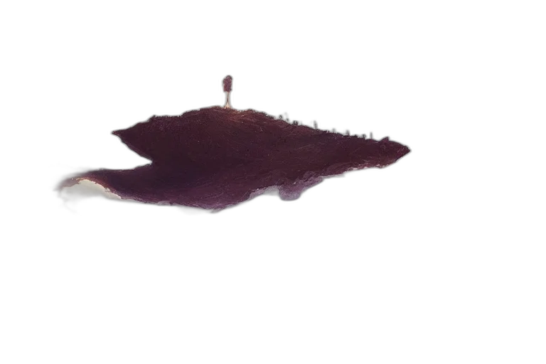 crown, staff, hair, hat transparent PNG cut-out