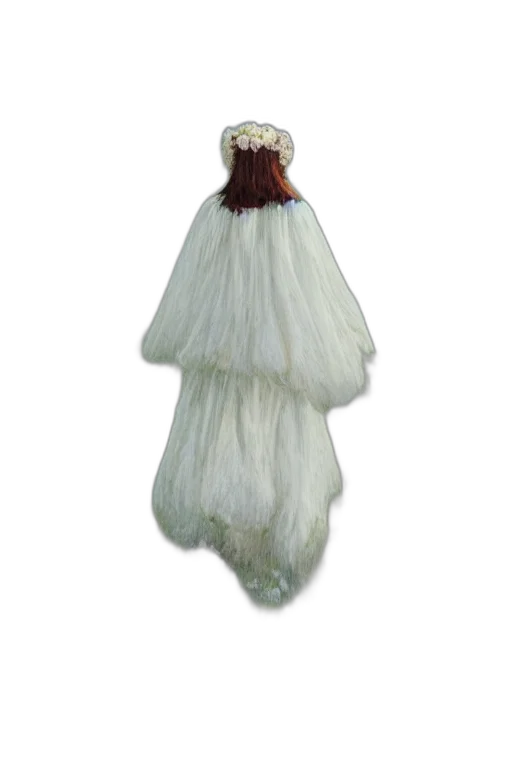hair, dress, staff, hat transparent PNG cut-out