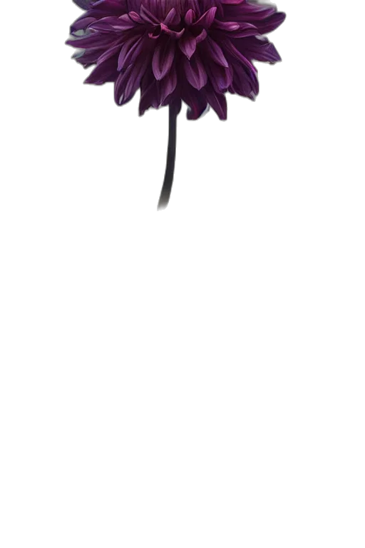 flower, staff, crown, umbrella transparent PNG cut-out