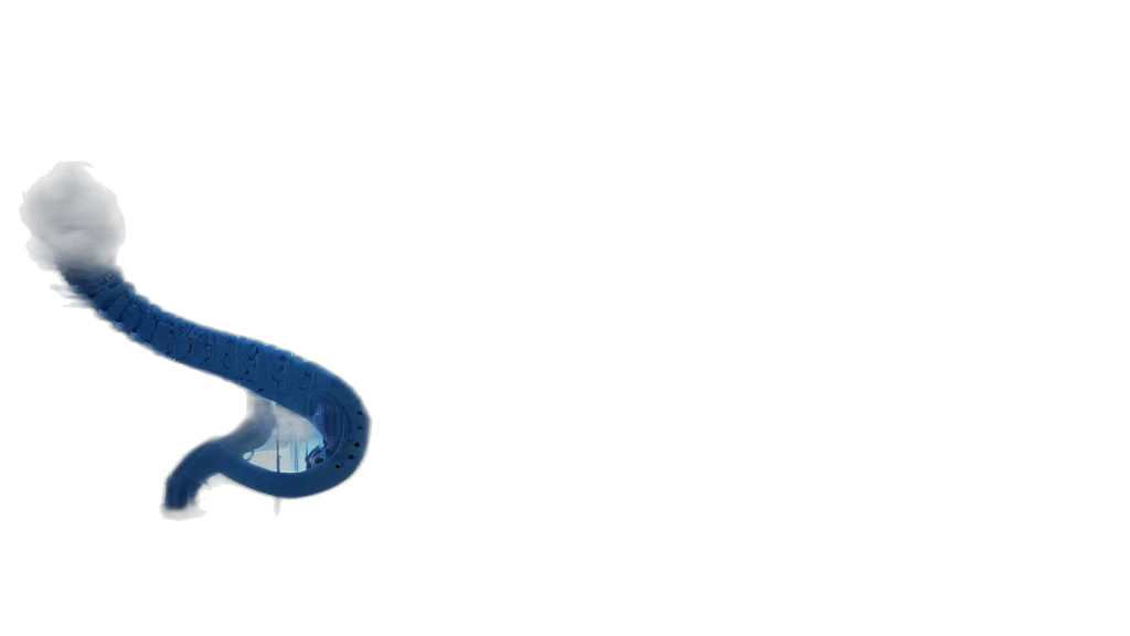 shoes, umbrella, hat, mask transparent PNG cut-out