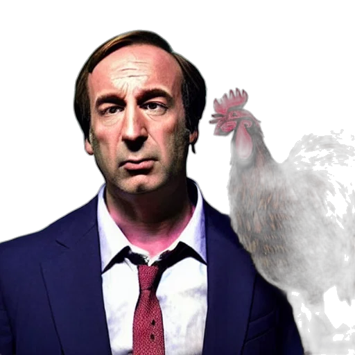 animal, saul, goodman, rooster transparent PNG cut-out