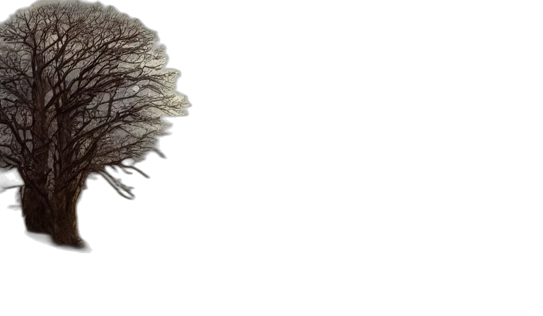 hair, hat, mask, face transparent PNG cut-out