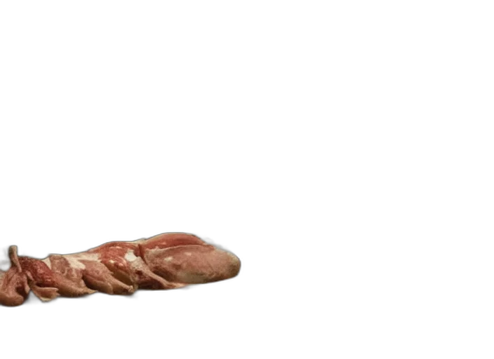 shoes, food, animal, creature transparent PNG cut-out
